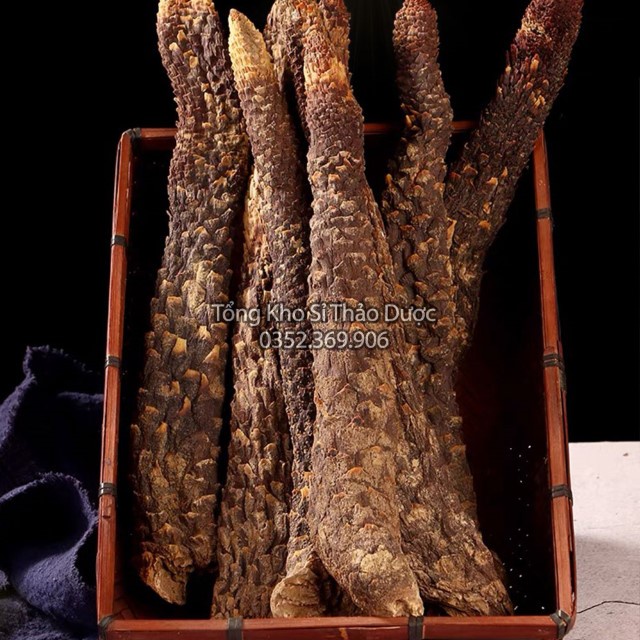 Nhục Thung Dung 500g