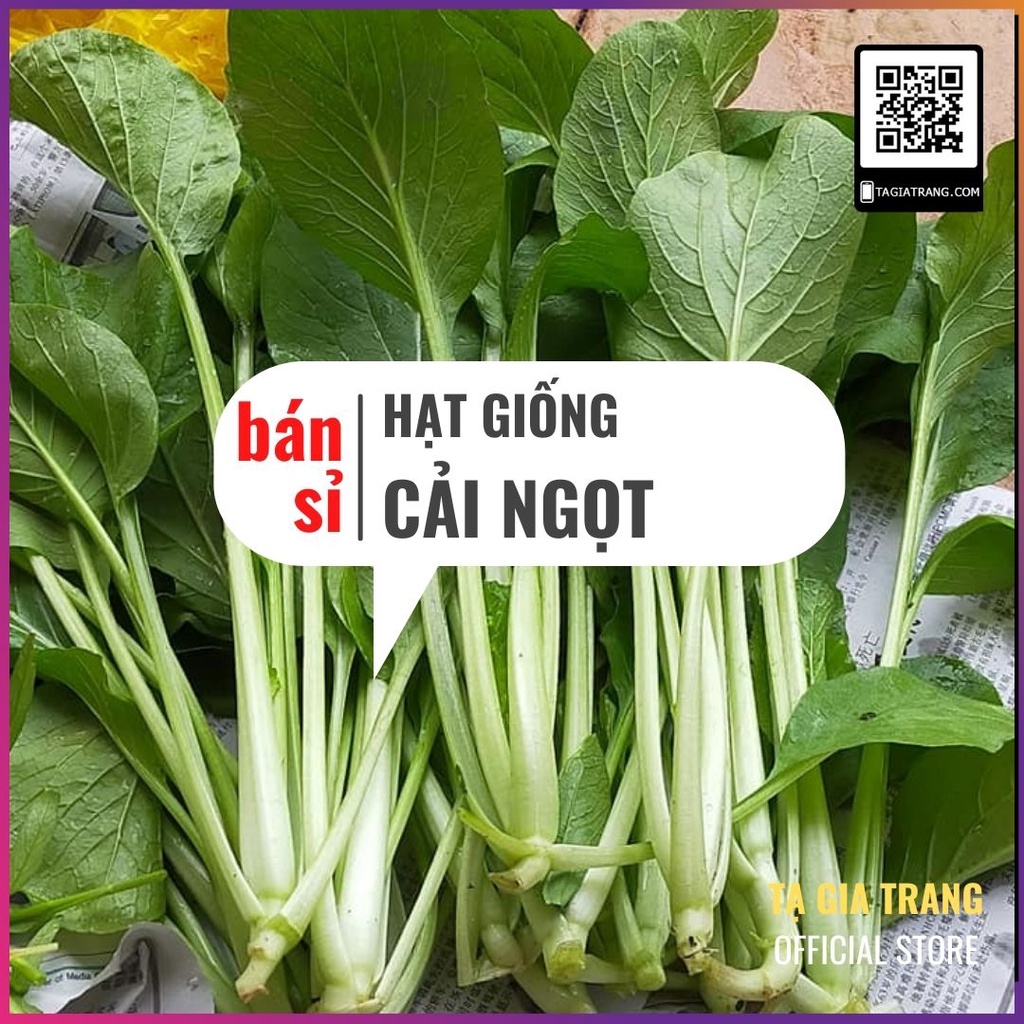 [Bán sỉ] - Hạt giống Rau Cải ngọt Cọng Xanh