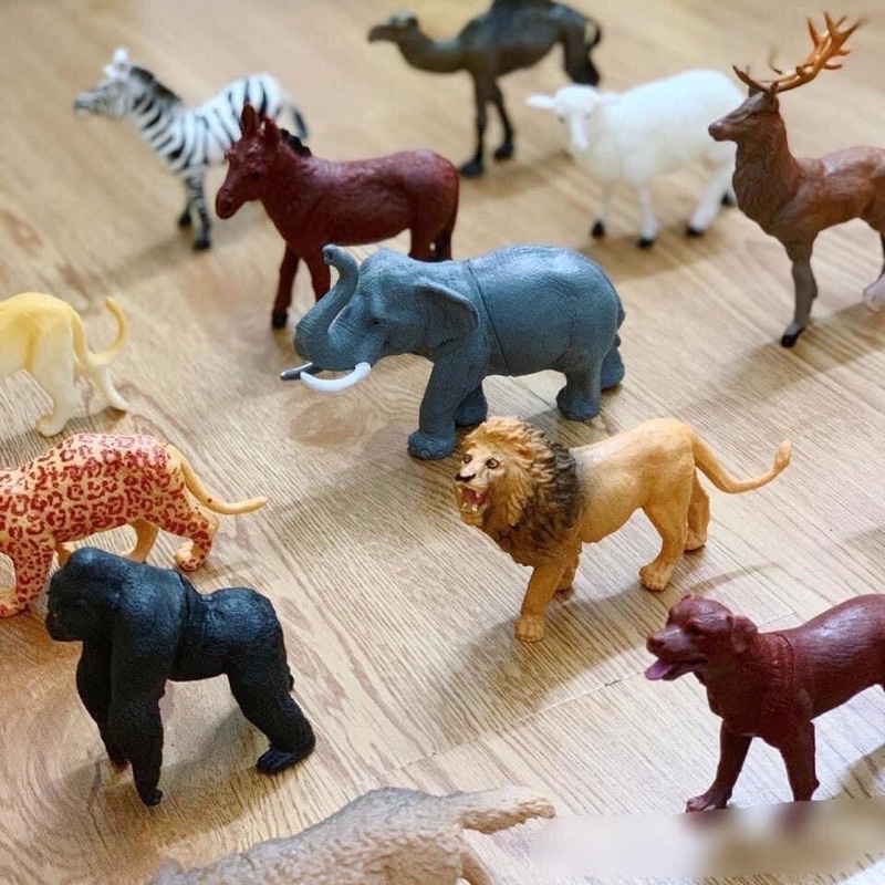 Bộ mô hình động vật