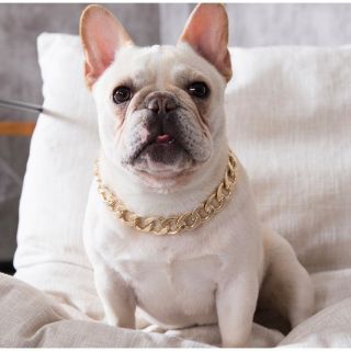 Vòng cổ rick kid cho chó mèo
