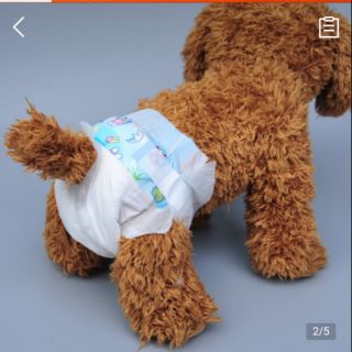  [ mua 3 tặng 1]Bỉm tã cho chó mèo cái Dog Diapets