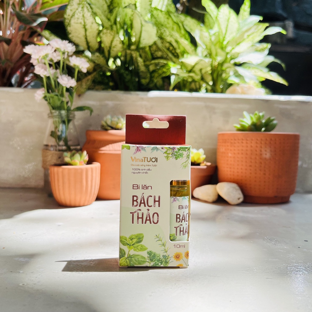 Chai Tinh Dầu Bi Lăn Bách Thảo Vina Tươi 10ml Dầu Lăn Thảo Dược Bạc Hà, Đinh Hương, Long Não