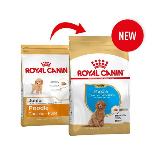 Thức ăn hạt cho chó ROYAL CANIN POODLE JUNIOR