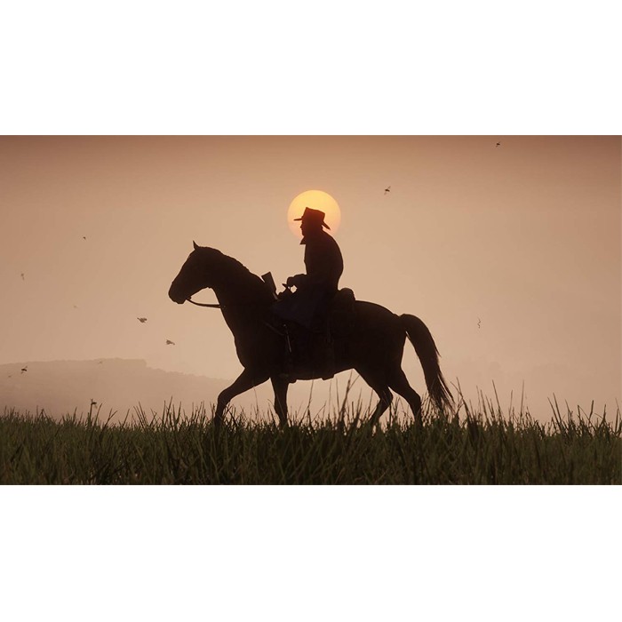 Đĩa Game PS4: Red Dead Redemption 2 - hệ EU