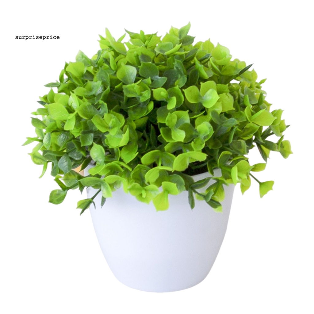 Chậu Cây Bonsai Giả Trang Trí Bàn Làm Việc