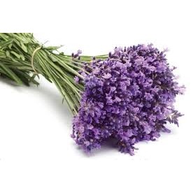 Dầu cù là lavender giúp ngủ ngon Grace hàng chính hãng thái lan 20gr