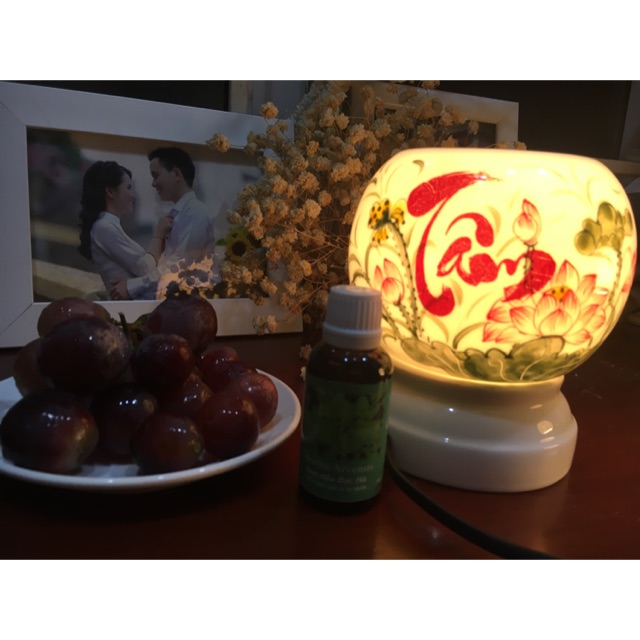 Combo sả 100ml, bưởi 100ml + đèn xông
