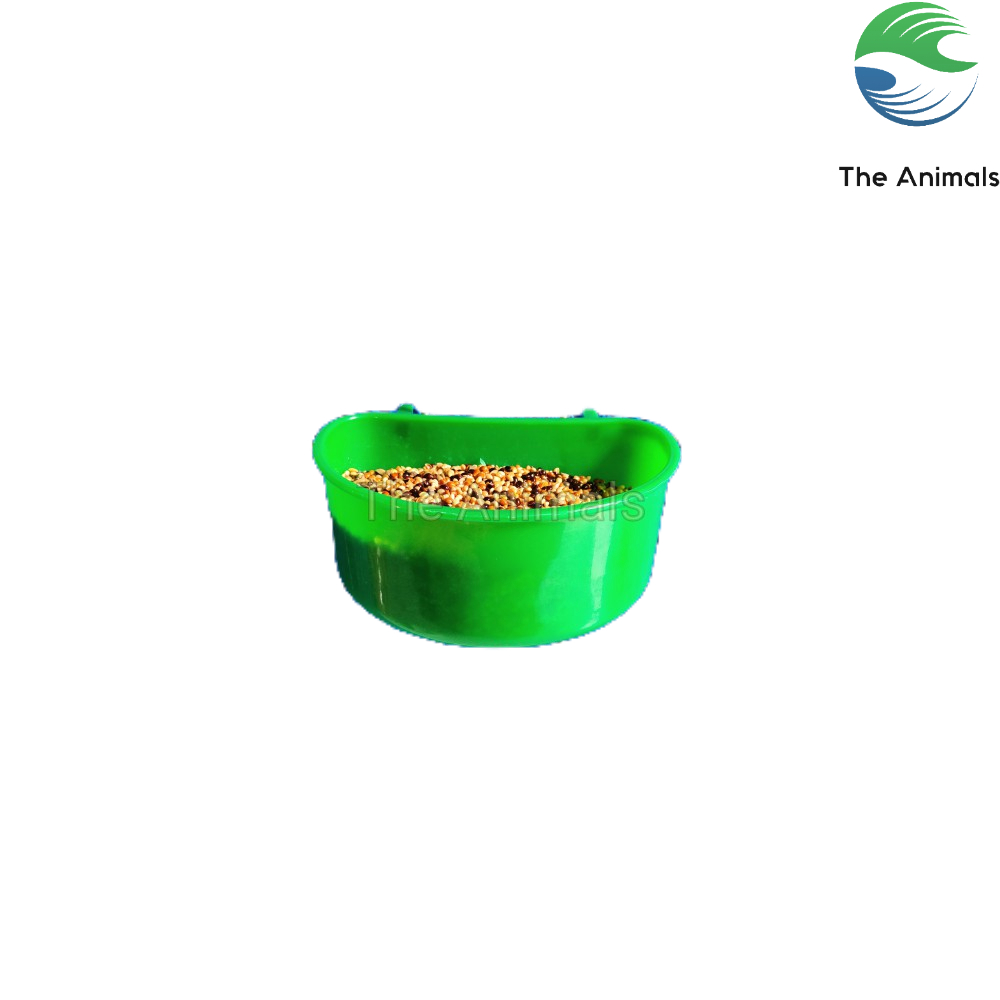 Máng ăn cho chim, gà, vịt - Máng đựng khoáng, cát cho bồ câu