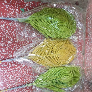 Lá công ngắn trang trí oản cam kết loại 1 ( Giá bán 10 cành)