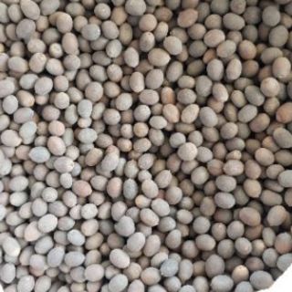 Hạt sen khô có vỏ loại 1, hạt đen đẹp