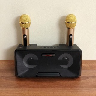 Loa Bluetooth Karaoke SDRD SD-301