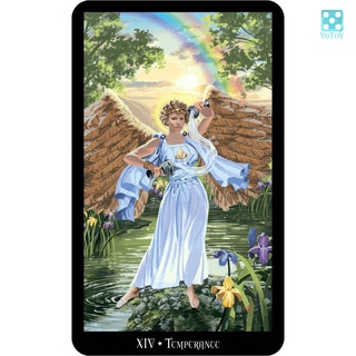 Bộ bài Tarot Witches Tarot (Tặng kèm khăn trải bài)