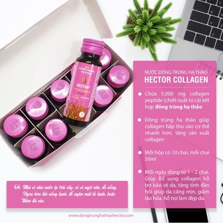 ĐÔNG TRÙNG HẠ THẢO HECTOR COLLAGEN