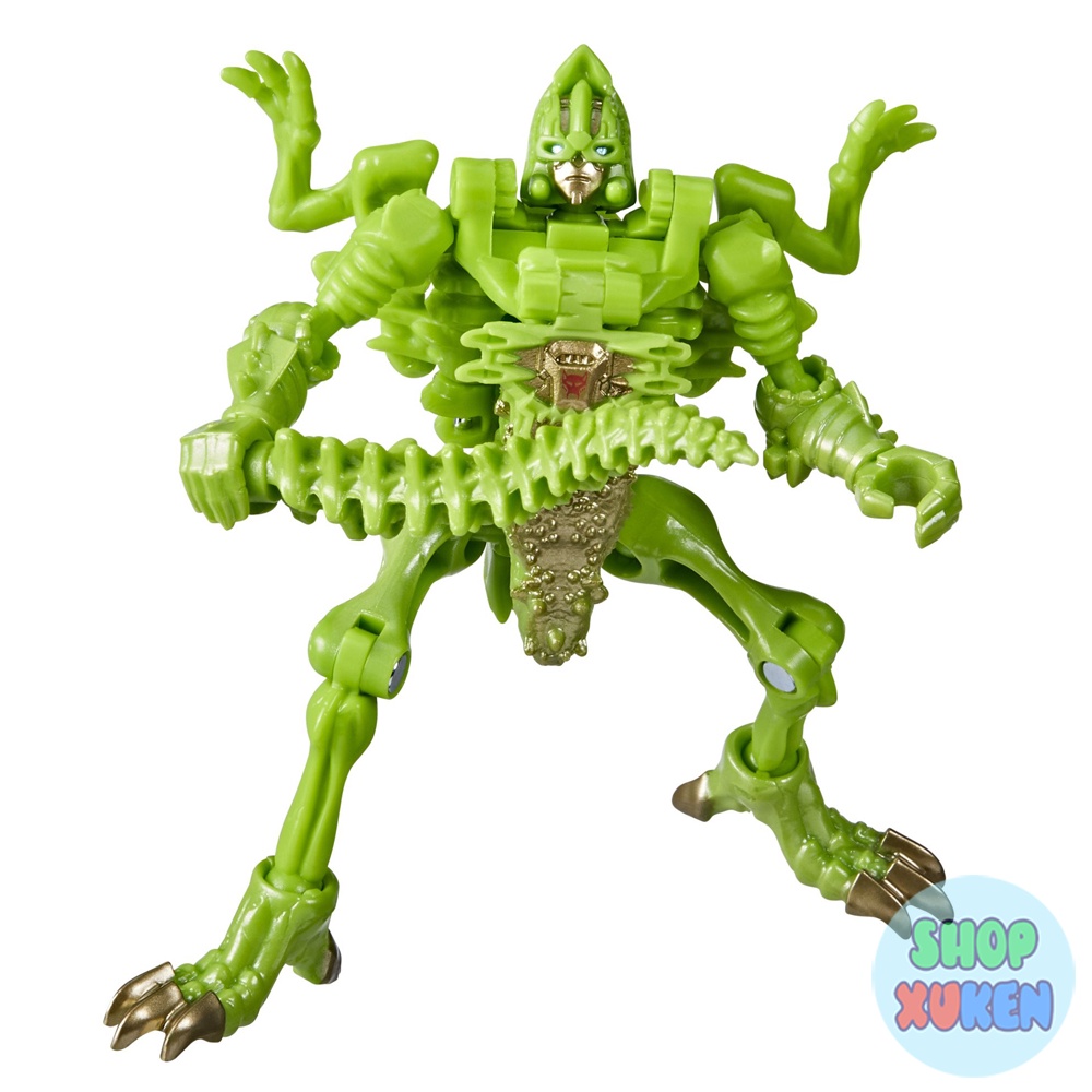 Robot đồ chơi Dracodon Core biến hình Con Rồng hóa thạch trong Transformers War for Cybertron Kingdom WFC-K22