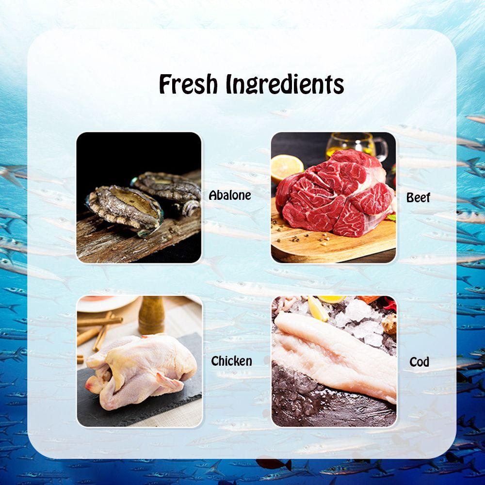 Bộ 10 Đồ Chơi Huấn Luyện Chuyên Dụng Dành Cho Mèo