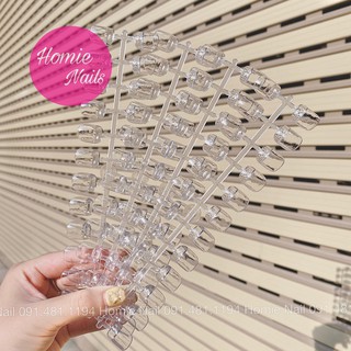 Móng giả sơn mẫu vuông trong/đục