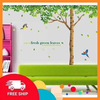⚡️𝗙𝗥𝗘𝗘𝗦𝗛𝗜𝗣⚡️ Decal dán tường Cây sồi cổ đại
