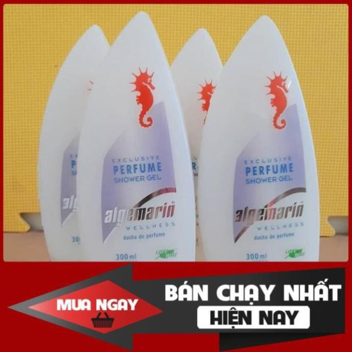 Sữa Tắm Cá Ngựa Cao Cấp Hương Hoa Hồng Giữ Ẫm Hương Thơm Cực Lâu - làm đẹp cho làn da và vệ sinh cơ thể | BigBuy360 - bigbuy360.vn