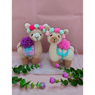 Lạc đà Alpaca siêu cute