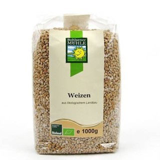 Hạt giống mạ lúa mỳ hữu cơ Markal 1kg