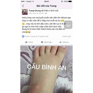 Tinh dầu tràm Huế ( Cầu Bình An) - Lọ 50ml