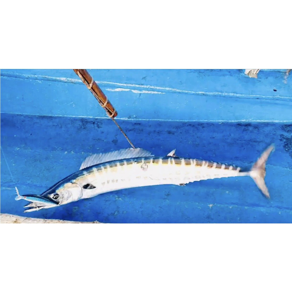 Mồi Lure Ghềnh, chạy trolling, câu dắt cá thu, Neoby 39gr