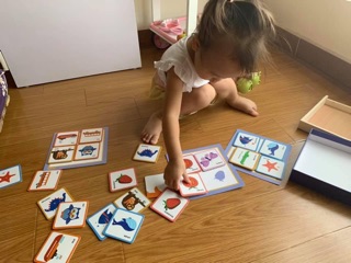 Shape matching cho bé 17-18m