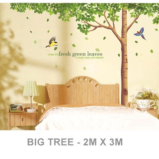 (Size Lớn) Decal dán tường BIG TREE HPM1098
