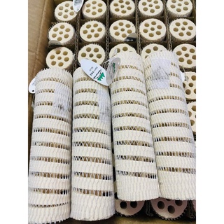 Sứ Thanh Xoắn Mountain Tree 16x4,5cm