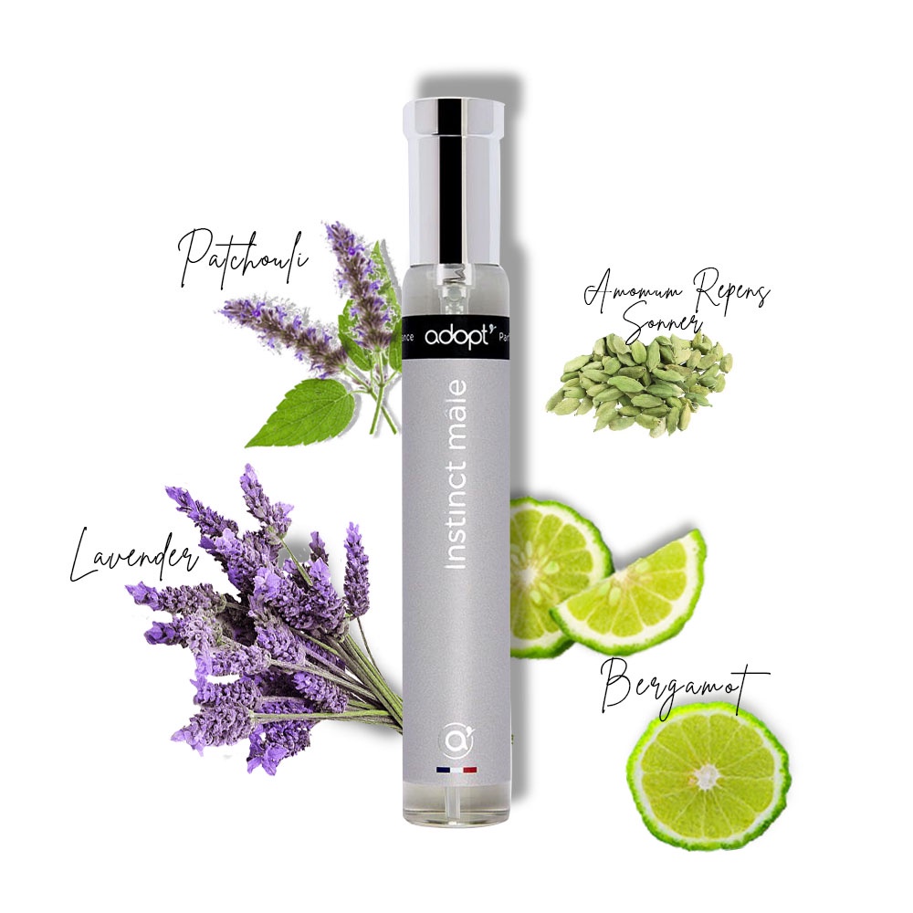 Bộ sưu tập nước hoa nam Adopt' Touchpoints For Men - Best Seller For Men | BigBuy360 - bigbuy360.vn