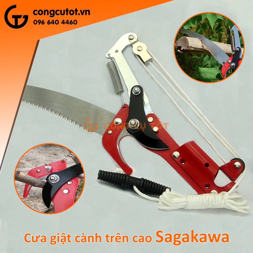 Cưa giật cành trên cao Sagawa 12708