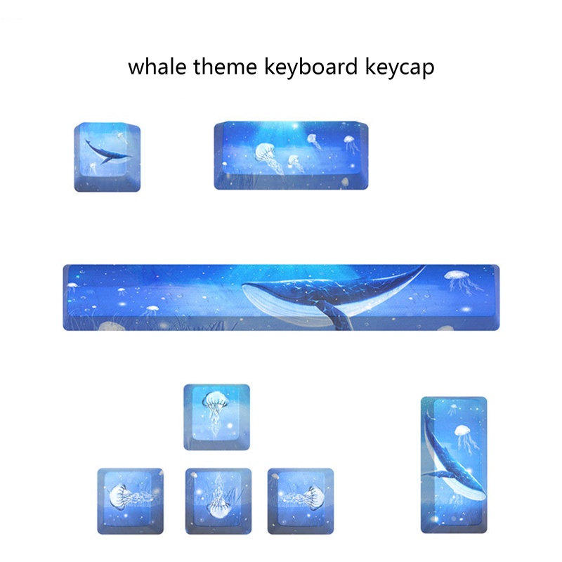 Nắp Đậy Phím 5 Mặt Cho Spacebar 6 25U ESC