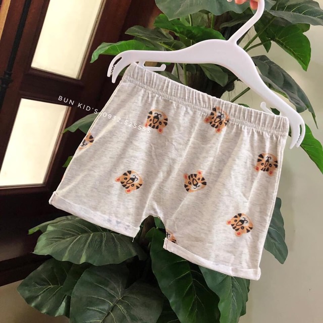 Set 3 chi tiết hổ HM