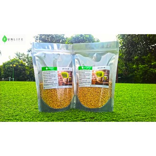 Hạt Giống Cỏ Lúa Mì [Australia]
