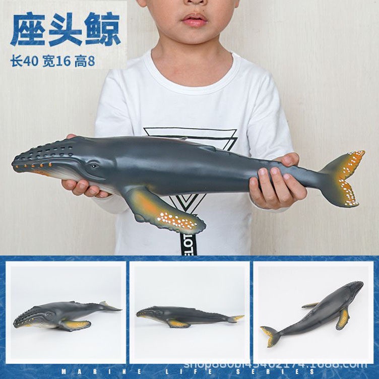 Mô Hình Cá Mập / Cá Voi / Chim Cánh Cụt / Cá Mập Xanh Bằng Cao Su Mềm Cỡ Lớn Dùng Trang Trí