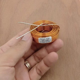 Cuộn cảm 0.15mH lõi không khí của Jantzen-Audio, giá bán theo cuộn