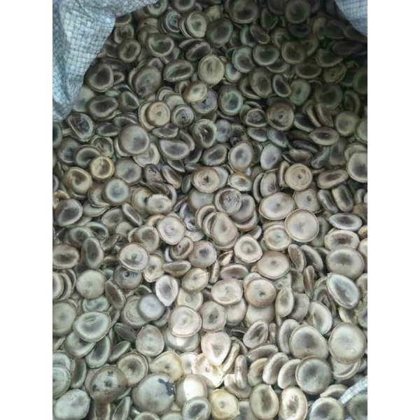 Hạt Mã Tiền nhung - 100g Hàng mới, khô, sạch