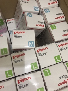 Núm ty thay thế pigoen Nội địa