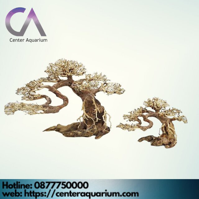 LŨA Bonsai mini cho bể cá cảnh bể thủy sinh cho bể (30-60cm)