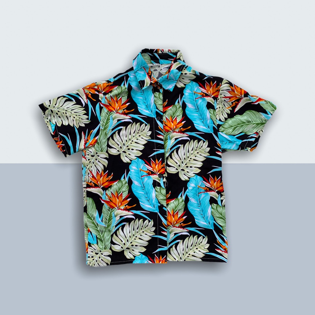 Áo sơ mi nam, áo sơ mi tay ngắn unisex nhiều màu chất mát chính hãng vnxk [Mã FAMAYMA2 giảm 10K đơn 50K] | BigBuy360 - bigbuy360.vn