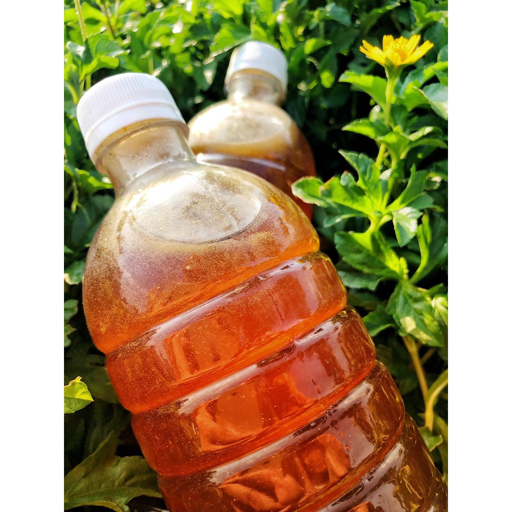Mật Ong Hoa Cà Phê Nguyên Chất 100%