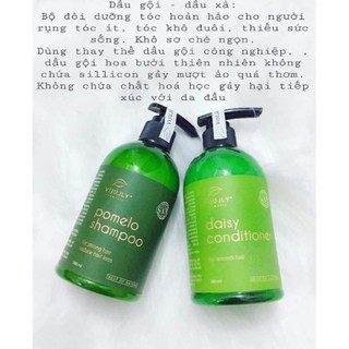 DẦU GỘI và Xã BƯỞI VI JULLY