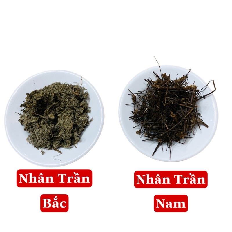 Nhân Trần Bắc - Túi 500 gam