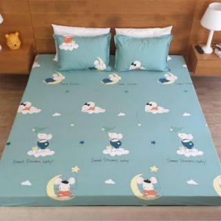 combo ga chống thấm