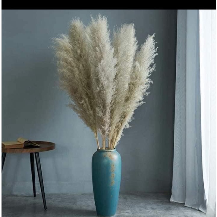 LAU XÙ 1.4m HOA CỎ LAU KHÔ CẮM LỌ DECOR NHÀ CỬA HOA TRANG TRÍ SIÊU TO KHỔNG LỒ 1 CÀNH