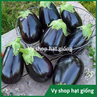 Hạt giống cà tím giọt nước Thái Lan gói 100 hạt