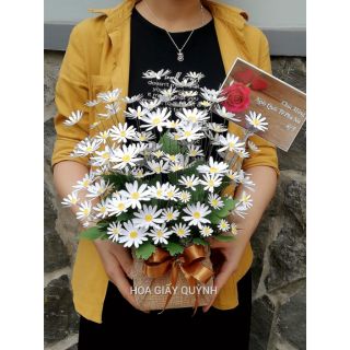 Sét nguyên liệu làm chậu hoa cúc họa mi