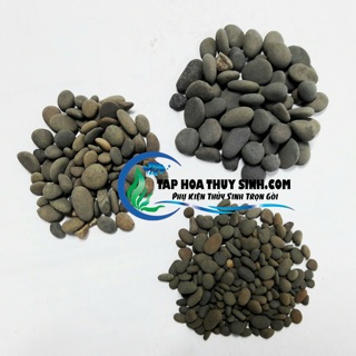 SỎI THÁI TRÃI NỀN HỒ CÁ TÉP BỊCH 1kg