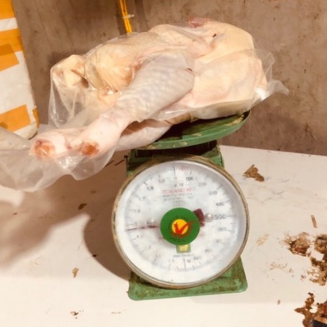 Gà dai nhập khẩu Hàn Quốc 🐣