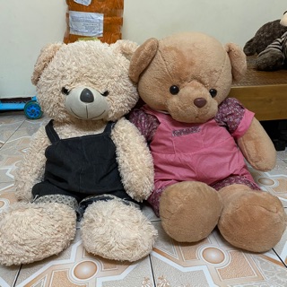 gấu bông 🧸